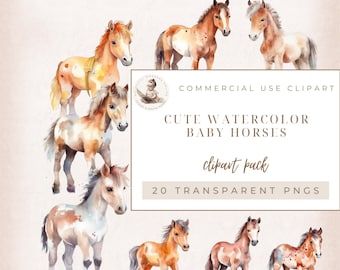 Clipart de caballo bebé, caballo de acuarela, animales bebés, clipart del oeste, animales de granja PNG, imágenes de caballos lindos, uso comercial, decoración de pared para guardería