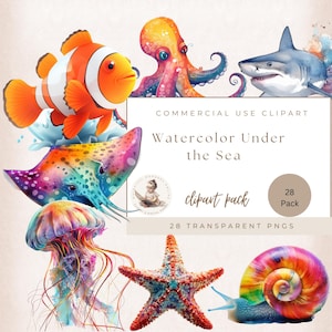 Watercolor Under the Sea Clipart, Octopus, Seaweed, Starfish, Squid, Snail Clipart, PNG Clipart, Sea Animal, Commercial Use, Sea Clipart