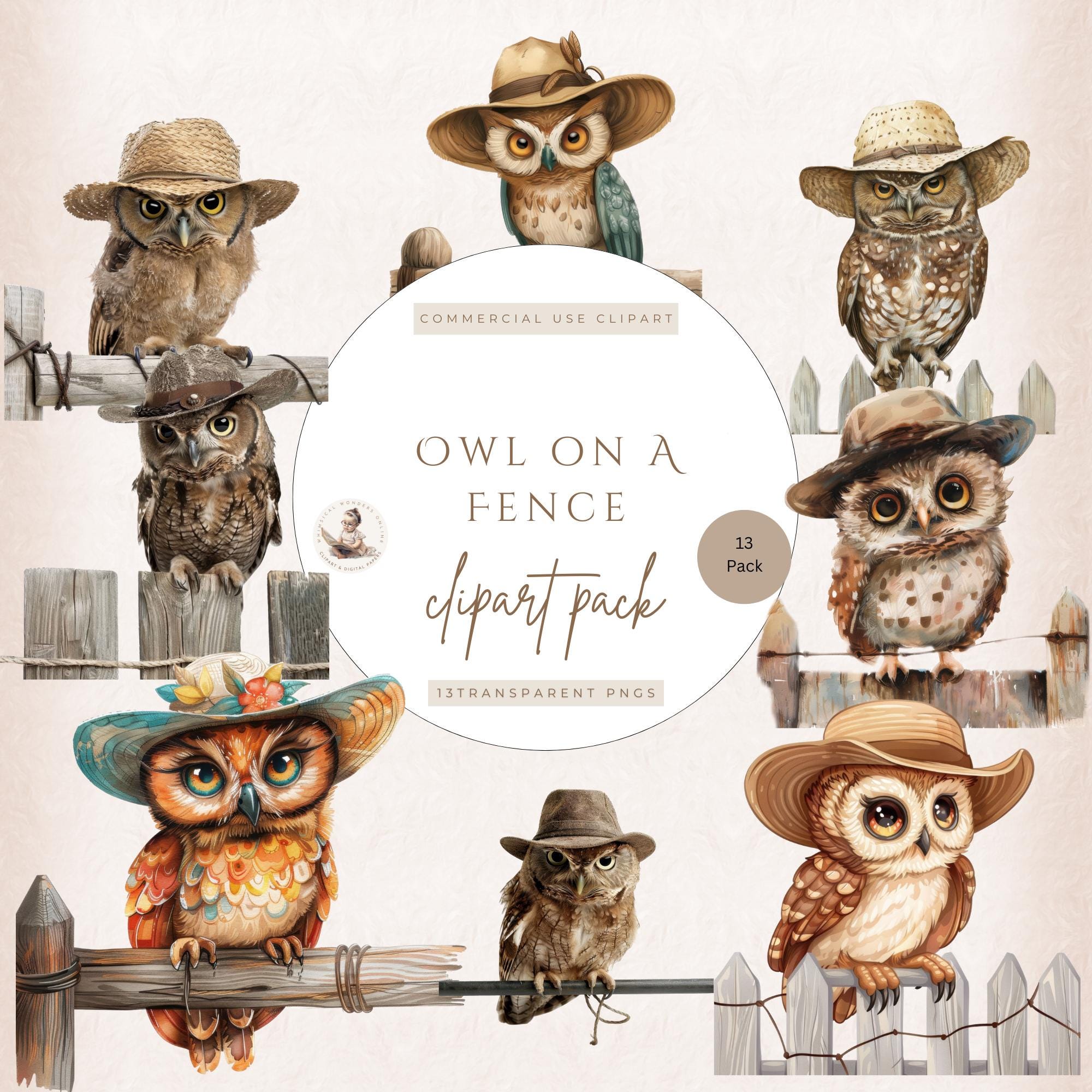 Owl Clipart, Owl Images, Whimsical Clipart, Owl Graphics, Bird Clipart, Vintage Dressed Owls, Transp