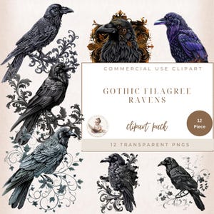 Raven Clipart, Gothic Filagree Raven Birds Illustration, Black Crows Graphics, Dark Fantasy Clipart, Halloween Clipart, Png Bird Clipart