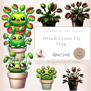 Flytrap Clipart, Venus Fly Trap Clipart, Venus Flytrap Plant, Venus Flytrap Png, Venus Fly Trap Cartoon Image, Monster Pot Plant