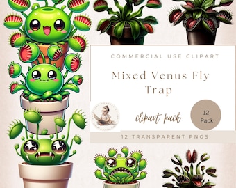 Flugfälla Clipart, Venus Flugfälla Clipart, Venus Flugfälla Växt, Venus Flugfälla Png, Venus Flugfälla Tecknad Bild, Monster Krukväxt
