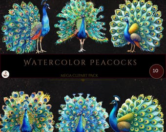 Watercolor Peacock, Bird Feather, Peacock Clip Art, Peacock Feathers, Bird Clip Art, Colorful Peacock, Commercial Use, Digital Crafts