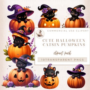 Cute Cat Clipart, Witches Kittens, Black Cat Clipart, Halloween Pumpkins, Halloween Clipart, Commercial Use, Digital Crafts, Card Making
