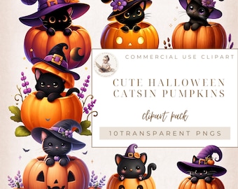 Cute Cat Clipart, Witches Kittens, Black Cat Clipart, Halloween Pumpkins, Halloween Clipart, Commercial Use, Digital Crafts, Card Making