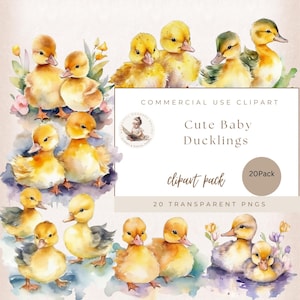 Cute Baby Duck Clipart Bundle, Watercolor Adorable Duckling Clipart, Baby Yellow Duckling, Animal Graphics, Nursery Wall Art, Baby Shower