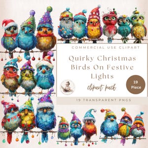Kerst eigenzinnige vogels, kerst vogels op feestelijke lichten, grappige vogels, huisdieren clipart, grillige kerst clipart, commercieel gebruik, digitale ambachten