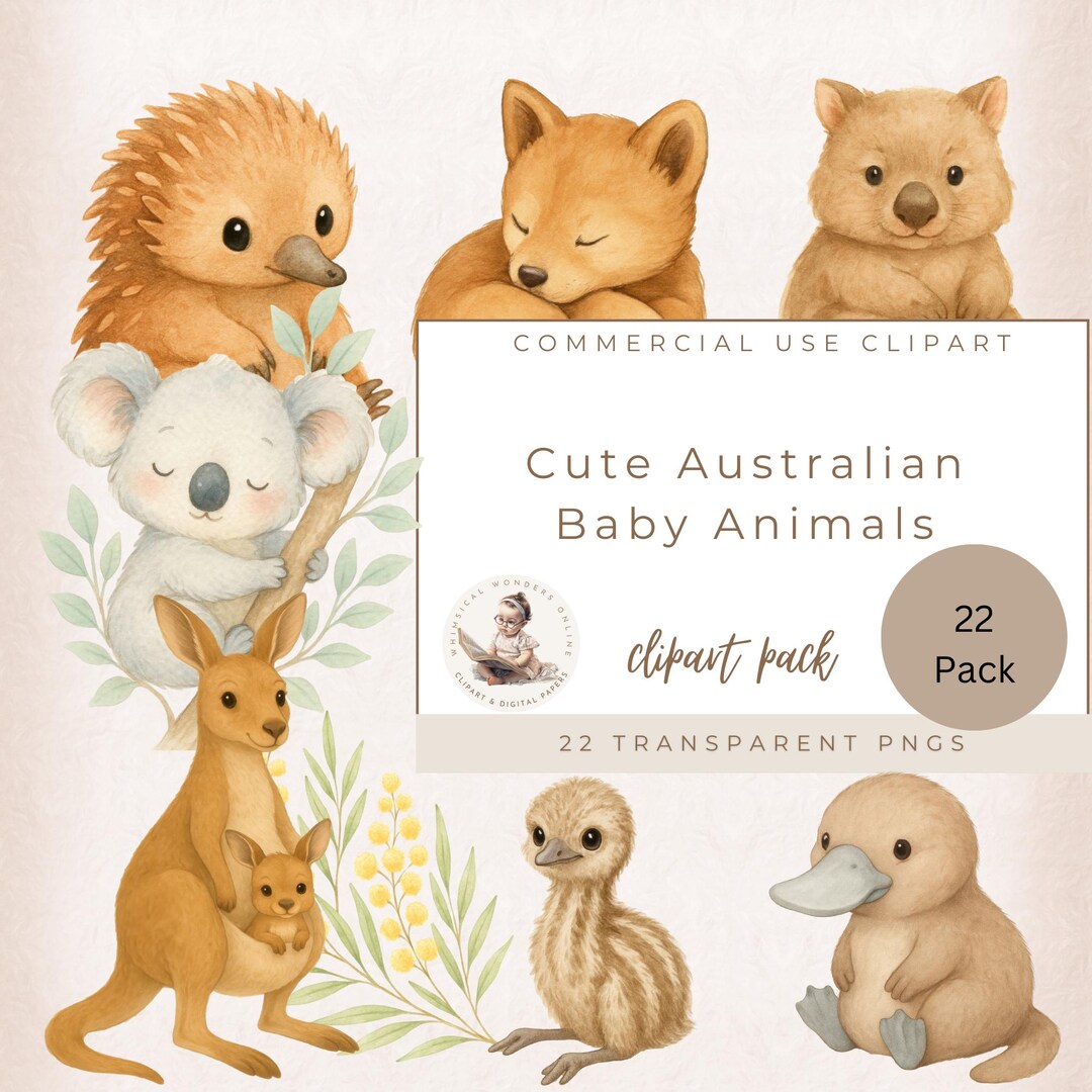 Australian Baby Animals Clipart, Cute Watercolor Wildlife Pngs, Koala ...
