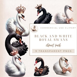 Zwaan clipart, zwarte zwaan clipart, sprookjesachtige clipart, koninklijke zwanen, zwanen illustratie, vogel clipart, aquarel zwanen, commercieel gebruik