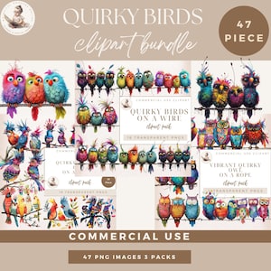 Quirky Birds Clipart Mega Bundle, Funny Birds, Birds on A Wire, Birds on A Branch, Colorful Owls on a Rope, Bird Graphics, Commerical Use