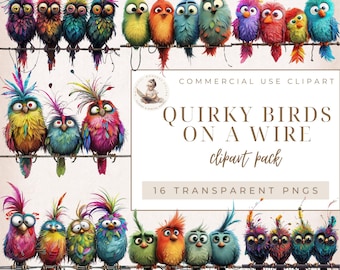 Eigenzinnige vogel illustraties, vogels op een draad, grappige vogels, huisdieren clipart, grillige clipart, plakboekafbeeldingen, commercieel gebruik, digitale ambachten