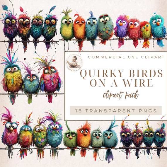 Quirky Bird Clip Art, Birds on A Wire, Funny Birds, Pets Clipart, Whimsical Clipart, Scrapbook Images, Commercial use, Digital Crafts