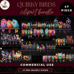 Quirky Birds Clipart Mega Bundle, Funny Birds, Birds on A Wire, Birds on A Branch, Colorful Owls on a Rope, Bird Graphics, Commerical Use