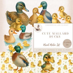 Clipart di anatre domestiche ad acquerello, clipart di anatre, clipart di anatre, download digitale, png di anatre, baby shower, carte digitali di anatre carine