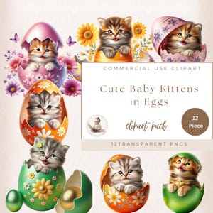 Imágenes prediseñadas de gatitos lindos, gatitos bebés en cáscara de huevo, imágenes prediseñadas de gatitos juguetones, imágenes prediseñadas de baby shower, imágenes prediseñadas de Pascua, uso comercial, amantes de los gatitos