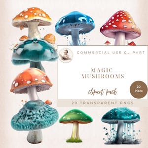 Woodland & Fantasy Clip Art, clipart Png champignons vénéneux, champignons magiques de la forêt enchantée, téléchargement numérique, usage commercial, fabrication de cartes