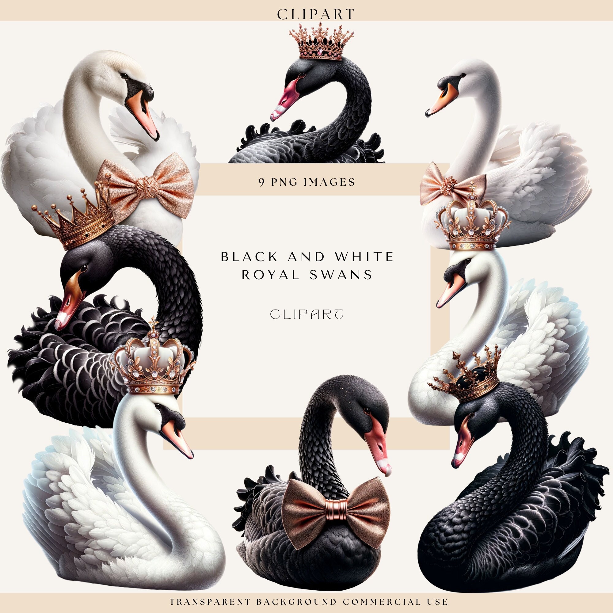 Swan Clipart, Black Swan Clipart, Fairytale Clipart, Royal Swans, Swans ...
