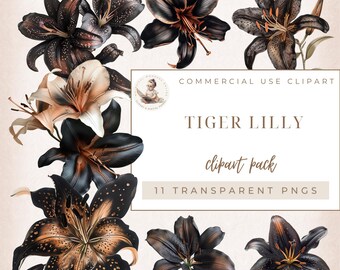 Tiger Lily Clipart, Lily Clipart, Watercolor Lilies, Tiger Lily Png, Balck and Gold Lily, Commercial Use, Digital Crafts, Card Making