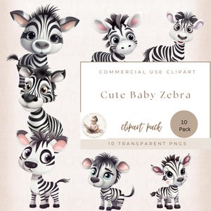 Cute Baby Zebra Clipart, Jungle Clipart, Safari Clipart, Instant Download, Commercial Use, Transparent PNG, Nursery Decor, Baby Shower