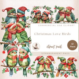 Noël Love Birds Clipart, PNG Transparent, mignon Noël oiseaux des cliparts, des cliparts aquarelle, journal indésirable Noël oiseaux, éphémères festifs