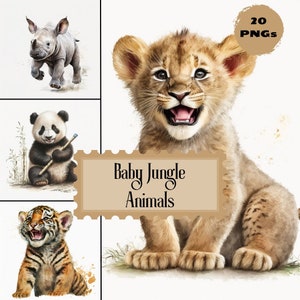 Baby-Dschungel-Tier-realistische Clipart – kommerzielle Nutzung, Aquarell, transparent, PNG, 20 Stück