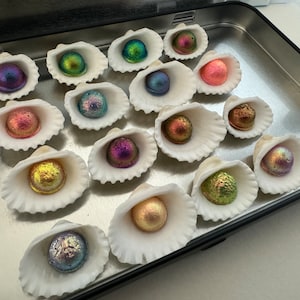 Bewitched pearl ( set of 16)