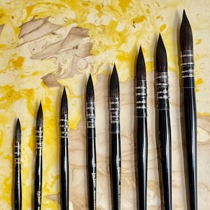 Aquarel dweilpenseel