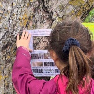 May include: A young person is learning about different types of tree bark by using a laminated identification chart. The chart has pictures of different tree bark textures and the names of the trees in French.