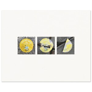 May include: Three square panels display a yellow circular sticker in varying states of decay. The first shows a complete sticker with a cartoon tiger wearing a blue mask. The second is torn and weathered. The third is a fragment of the sticker.