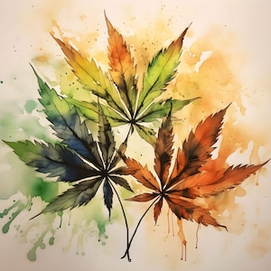 Marijuana Leaves Rainbow Splash Trio