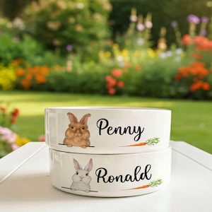 Personalized Bunny Carrot Bowl, Custom Name Bunny Gift, Rabbit 16oz Feeding Bowl, Rabbit Lover Gift