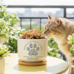 May include: A cream-colored ceramic planter with a succulent plant, resting on a wooden saucer. The planter features a paw print design with the text "Best Friends Leave Paw Prints Forever in our Hearts" and a memorial message for Barkley.