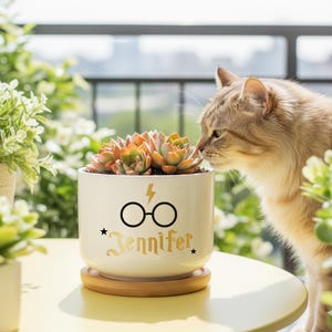 May include: A white ceramic planter with a succulent plant, featuring a black glasses and lightning bolt design, and the name "Jennifer" in gold script. The planter sits on a wooden saucer, with a cat sniffing the plant.