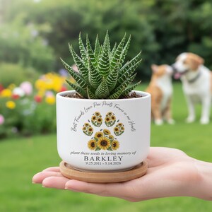 May include: A white ceramic planter with a succulent plant, featuring a sunflower paw print design and the text "Best Friends Leave Paw Prints Forever in our Hearts." The planter includes the name "BARKLEY" and dates 9.25.2011-5.14.2026.