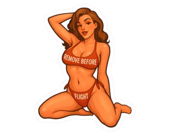 Pinup Girl Sticker for Aviators, FAA, Pilots, Air Force Airmen, Flightline, Airport, Airplane, Plane, Maintainer, Flying, Flight - Remove