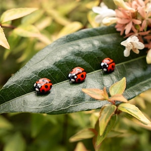 Ladybug Pin - Handmade Clay Bug Jewelry - Gifts, Brooches,