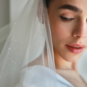Glitter wedding veil, single layer long wedding veil with silver glitter, golden glitter bridal veil, angel dust fingertip veil