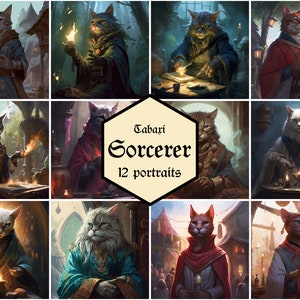 Tabaxi sorcerer portraits | 12-pack | Dungeons & Dragons