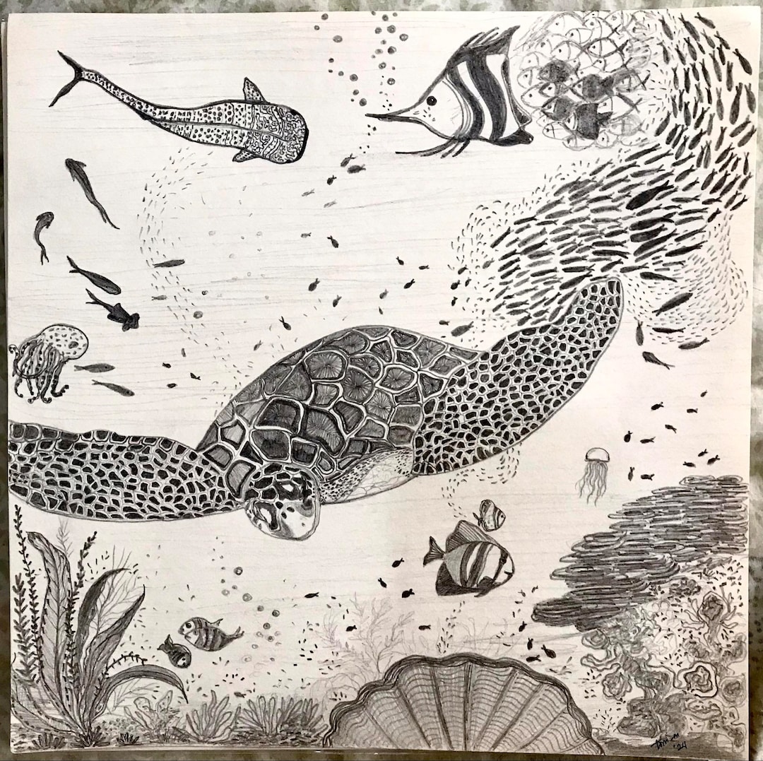 グラファイト鉛筆画。 シーワールドアート：オリジナルグラファイト鉛筆画（12x12インチ