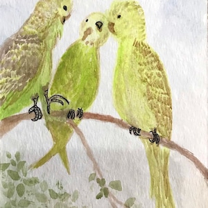 O amor é uma linguagem universal, linda família de periquitos, um cartão postal original em aquarela guache pintado à mão, assinado e datado, você pode emoldurar