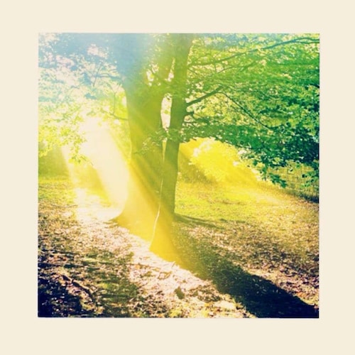 黄金の葉の抽象アクリル画：額入りキャンバスウォールアート（10x14