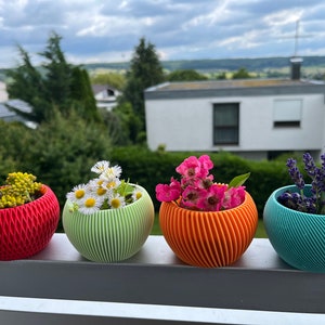 Könnte beinhalten: Vier kleine, farbige, 3D-gedruckte Pflanzer mit verschiedenen Blumen. Die Pflanzer sind rot, grün, orange und blau. Die Blumen sind weiße Gänseblümchen, rosa Rosen, Lavendel und gelbe Sukkulenten.
