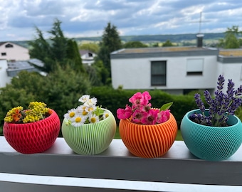 Gepersonaliseerde 3D-geprinte bloempotten in unieke ontwerpen en kleuren – Perfect voor decoratie, cadeaus en plantenliefhebbers