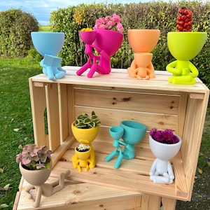 Puede incluir: Un conjunto de macetas coloridas con forma de personas, cada una con una pequeña planta. Las macetas están dispuestas en una caja de madera, con algunas macetas en el borde superior y otras en el nivel inferior. Las macetas están hechas de un material liso, similar al plástico, y están disponibles en una variedad de colores, incluyendo rosa, azul, verde, amarillo y blanco.