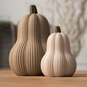Butternut squash-dekoration, modern minimalistisk höstdekorationsset med texturerad yta, liten och stor squashduo