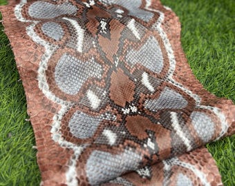 Véritable peau de phyton multicolore