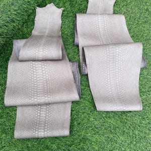 leather snake skin in taupe