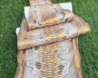 Mélange d'or multicolores véritable peau de phyton