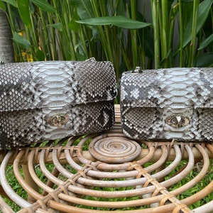 echte Python Tasche natürliche glänzende Farbe