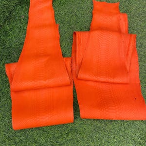 genuine snakeskin leather in orange